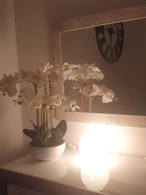 Orchidea Home 的里雅斯特 外观 照片